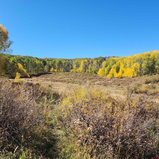 TBD Zs Road, Whitewater, CO 81527