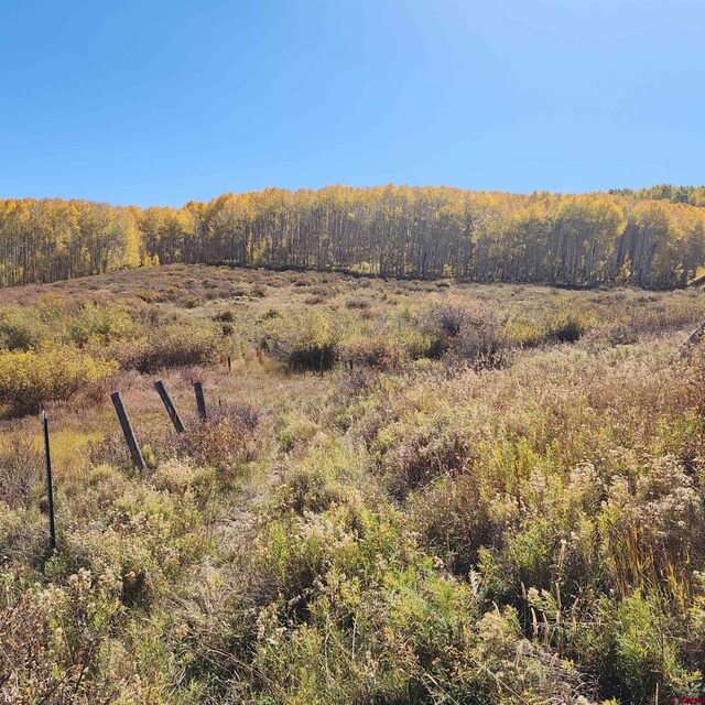 TBD Zs Road, Whitewater, CO 81527