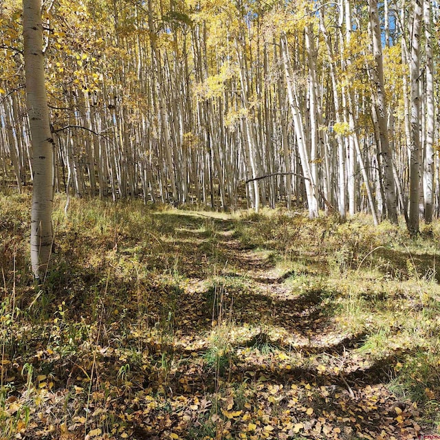 TBD Zs Road, Whitewater, CO 81527