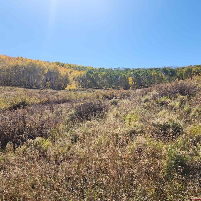 TBD Zs Road, Whitewater, CO 81527