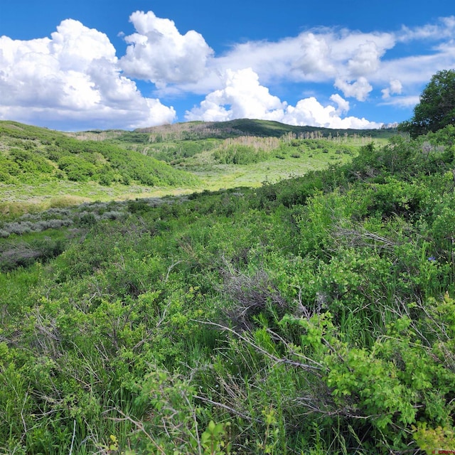 TBD Zs Road, Whitewater, CO 81527