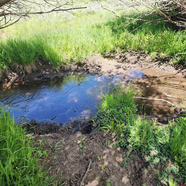 TBD Zs Road, Whitewater, CO 81527