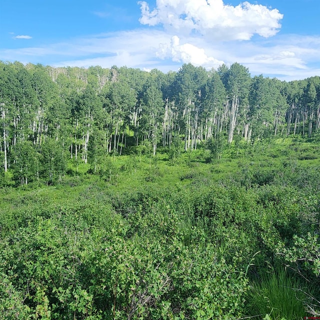 TBD Zs Road, Whitewater, CO 81527