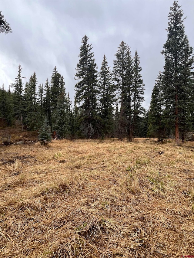 Listing photo 2 for TBD 11th St, Pitkin CO 81241