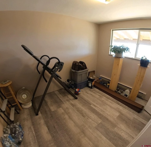 workout room with hardwood / wood-style flooring