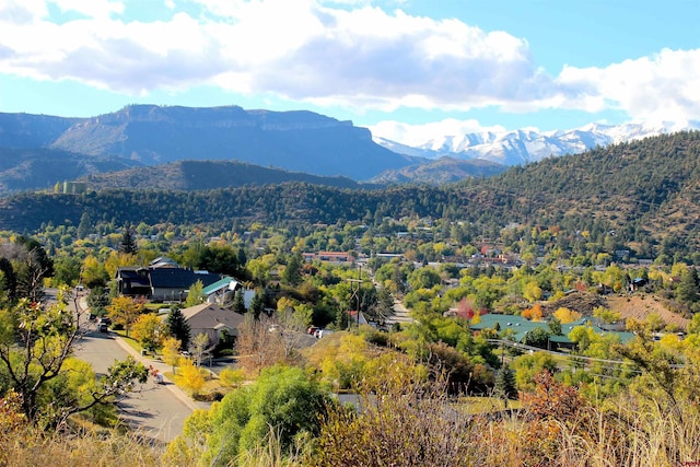 1229 Galaxy Dr, Durango CO, 81301 land for sale