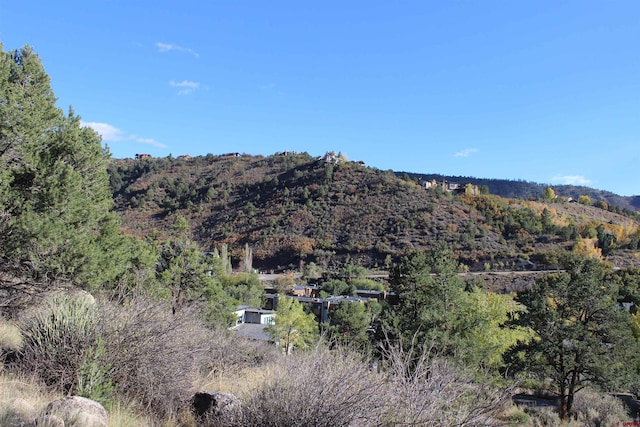 Listing photo 3 for 1229 Galaxy Dr, Durango CO 81301