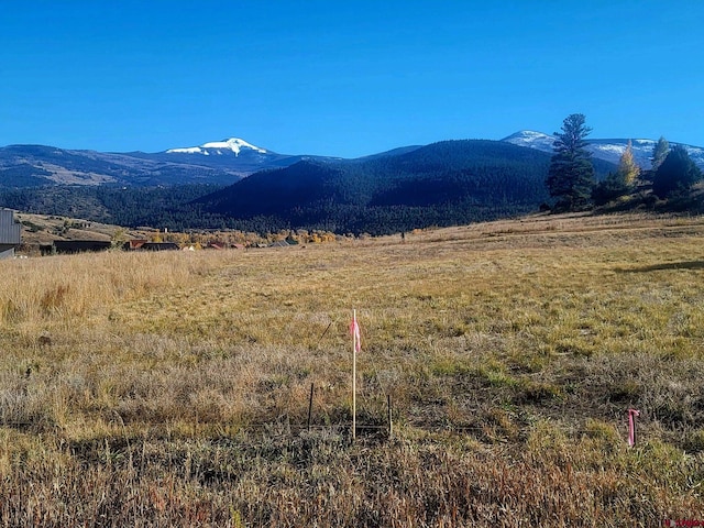 Listing photo 3 for 550 Rio Grande Club Trl, South Fork CO 81154