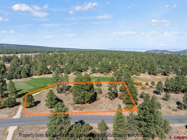 LOT536 N Badger Trl, Ridgway CO, 81432 land for sale