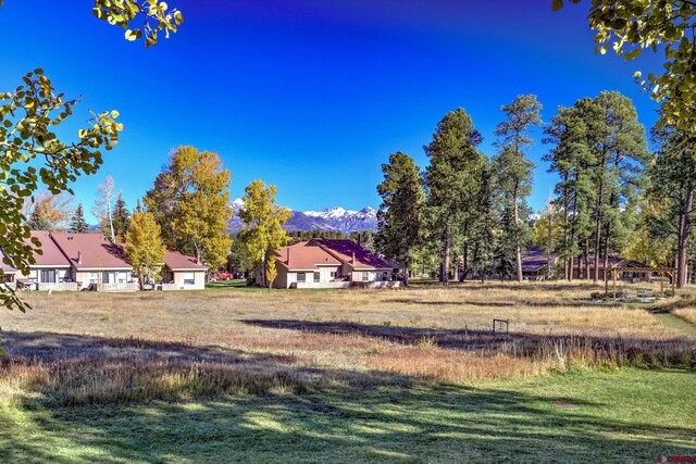 view of yard featuring a mountain view