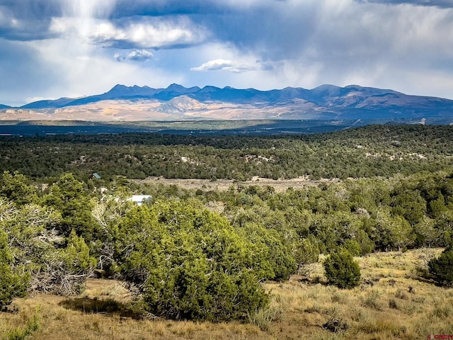 TBD Road 35, Mancos CO, 81328 land for sale