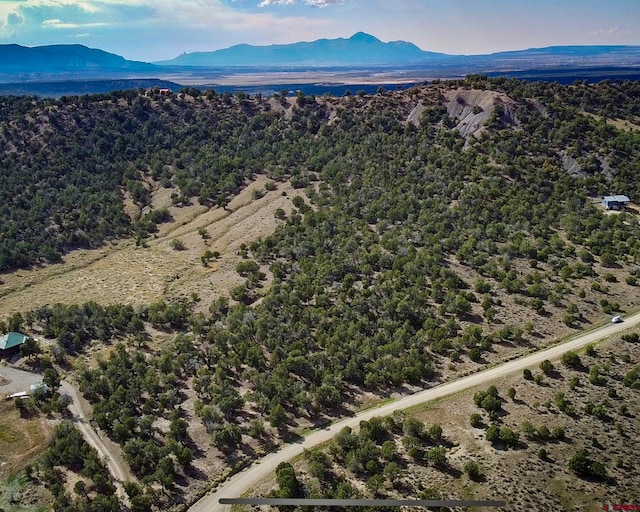 TBD Road 35, Mancos, CO 81328
