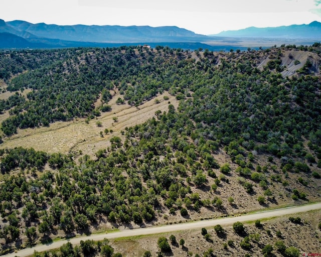 TBD Road 35, Mancos, CO 81328