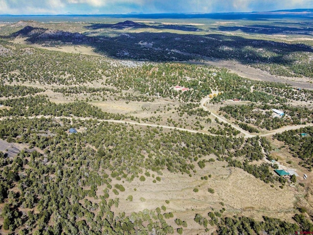 TBD Road 35, Mancos, CO 81328