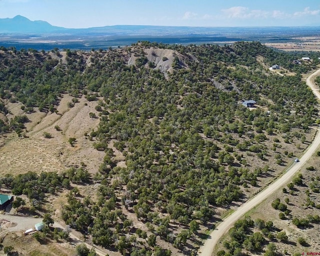 Listing photo 3 for TBD Road 35, Mancos CO 81328