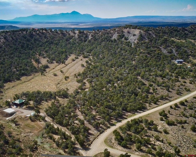TBD Road 35, Mancos, CO 81328