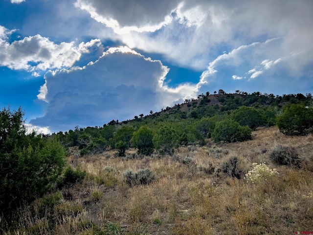 TBD Road 35, Mancos, CO 81328