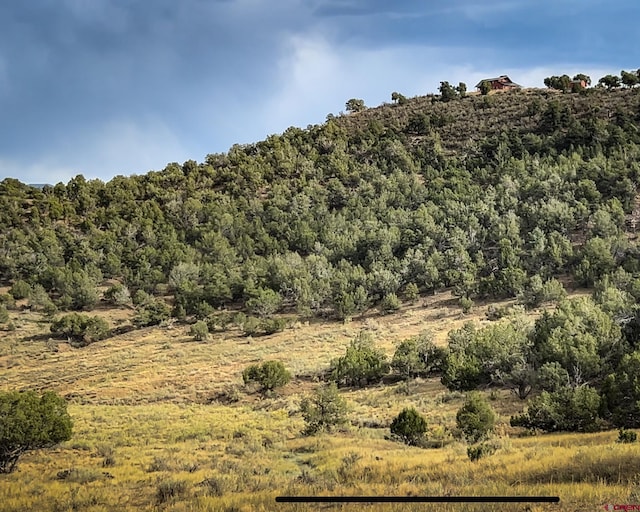 TBD Road 35, Mancos, CO 81328