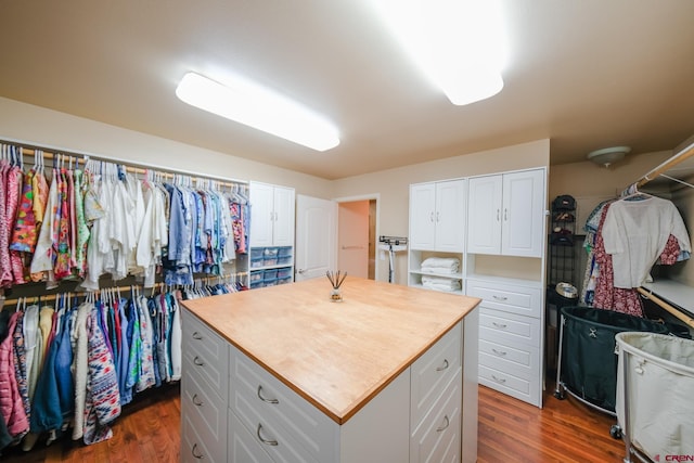 spacious closet with dark hardwood / wood-style flooring