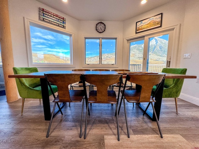 dining space featuring hardwood / wood-style flooring