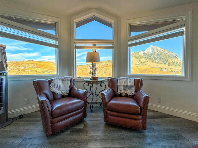 living area featuring lofted ceiling, dark wood-type flooring, and a mountain view