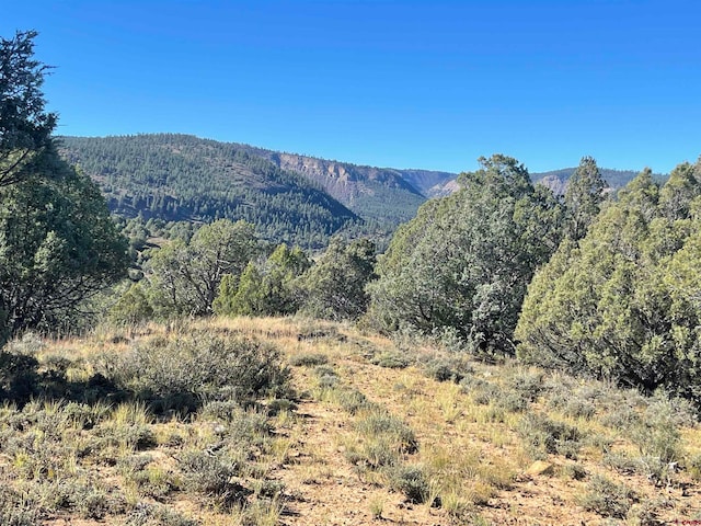 X Riverview Dr, Pagosa Springs CO, 81147 land for sale