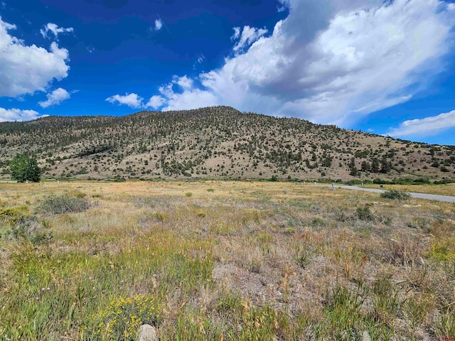 Listing photo 3 for 580 Rio Grande Club Trl, South Fork CO 81154