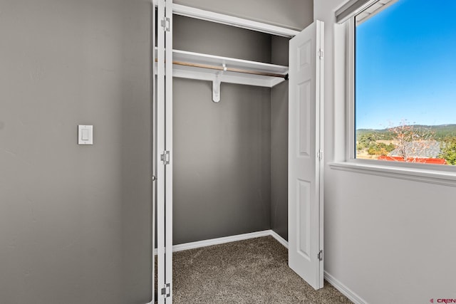 view of closet