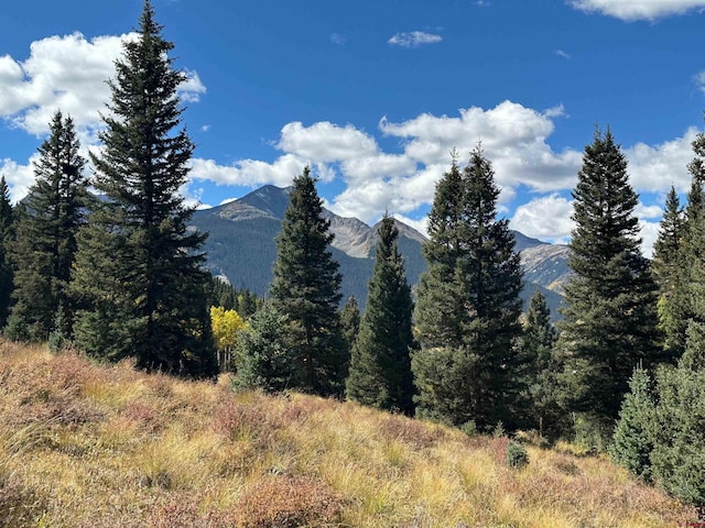 RiversideGroup Cr 2, Silverton, CO 81433