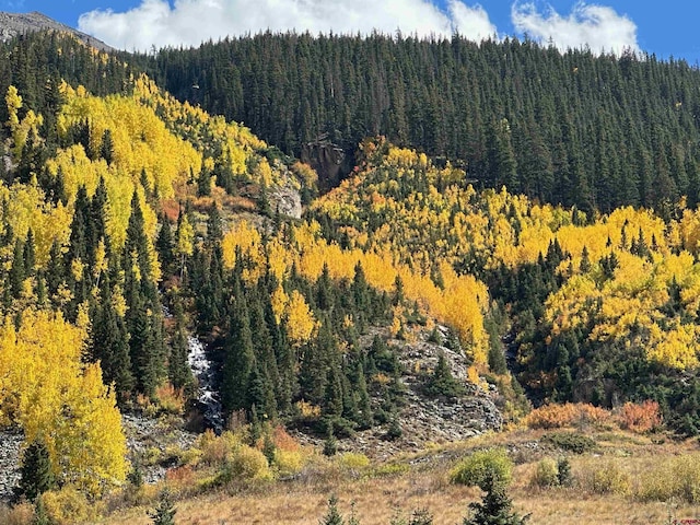 RiversideGroup Cr 2, Silverton, CO 81433