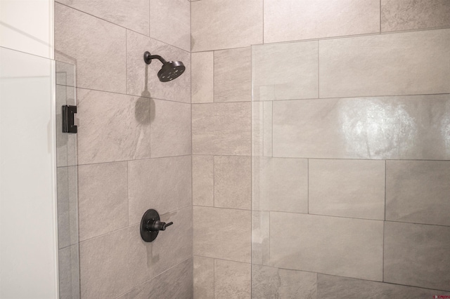 room details with tiled shower