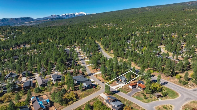 birds eye view of property with a mountain view