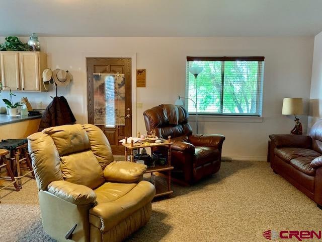 view of carpeted living room