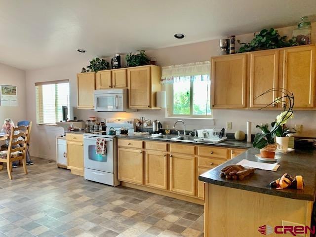 kitchen featuring a healthy amount of sunlight, sink, light brown cabinetry, and white appliances