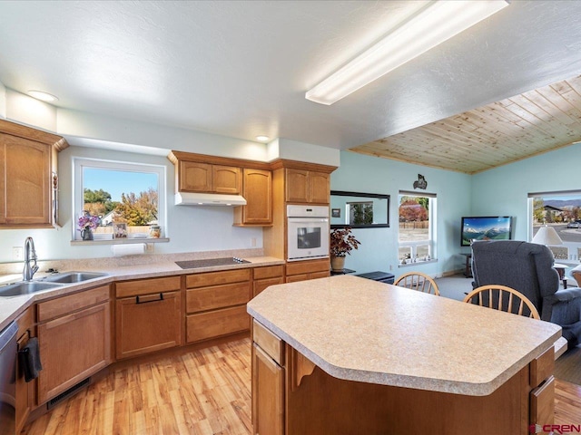 kitchen featuring light hardwood / wood-style floors, a healthy amount of sunlight, black appliances, and sink