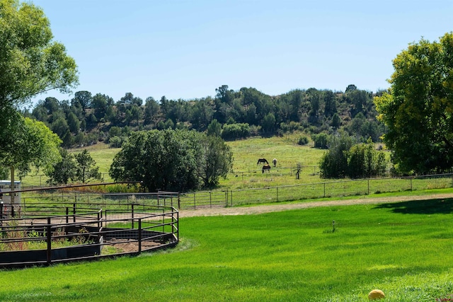 view of community with a lawn and a rural view