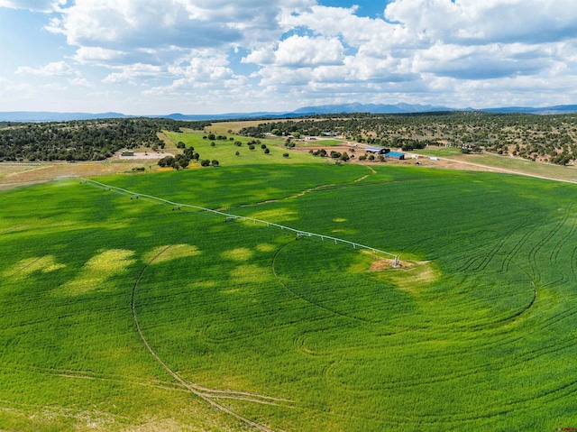 bird's eye view with a rural view