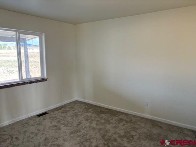 unfurnished room featuring carpet