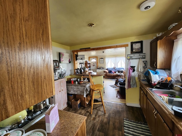 kitchen with sink and dark hardwood / wood-style floors