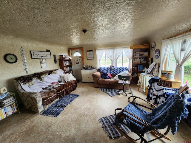 living room featuring a textured ceiling