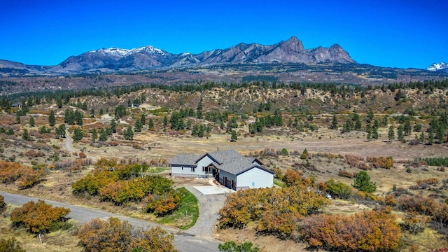 view of mountain feature