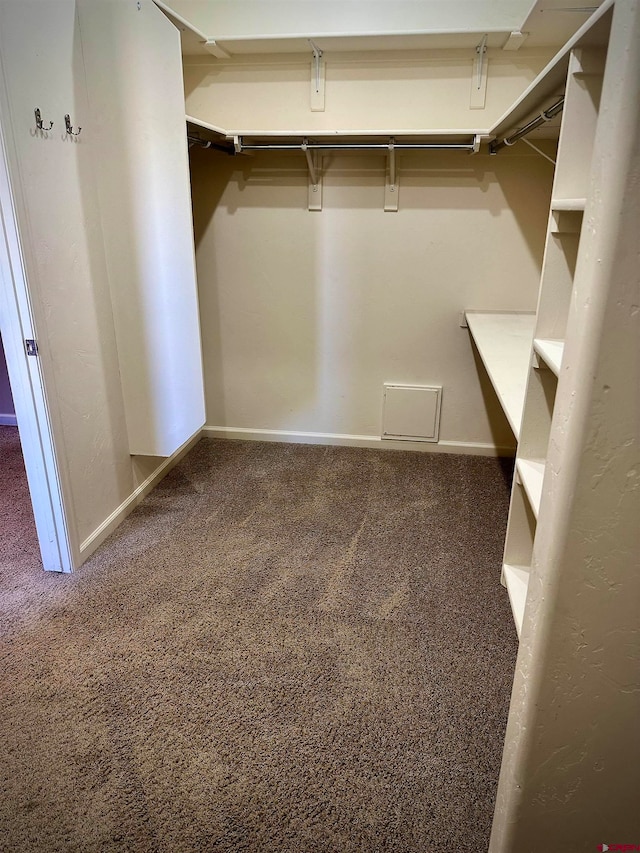 spacious closet featuring dark colored carpet