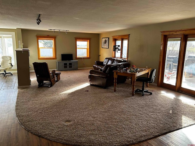 living room featuring a textured ceiling, rail lighting, and hardwood / wood-style flooring