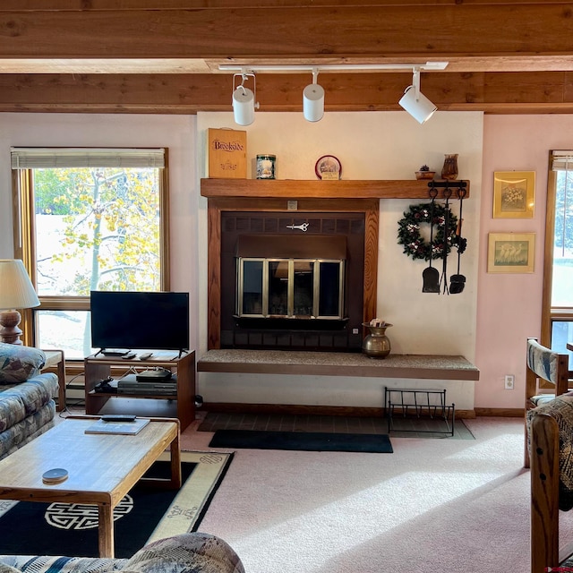 living room featuring rail lighting, beam ceiling, carpet, and plenty of natural light