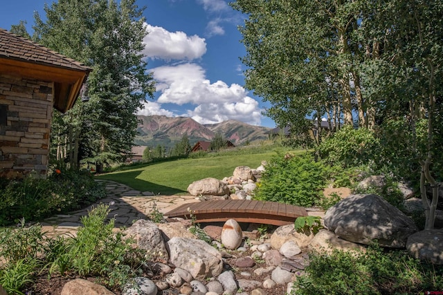 view of yard featuring a mountain view