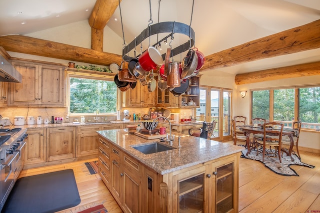 kitchen featuring an island with sink, light stone countertops, pendant lighting, light hardwood / wood-style floors, and sink