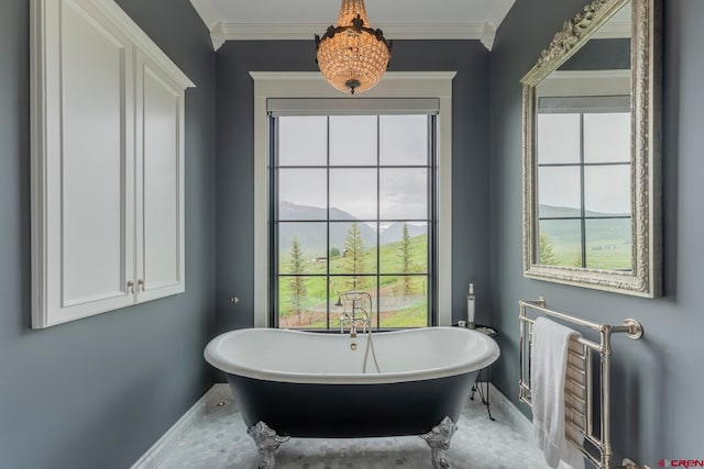 bathroom featuring crown molding, a mountain view, and a bath