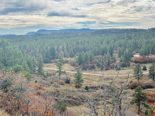 633 E Mccabe St, Pagosa Springs CO, 81147 land for sale