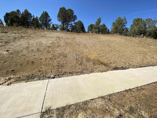 15 Salt Brush St, Durango, CO 81301