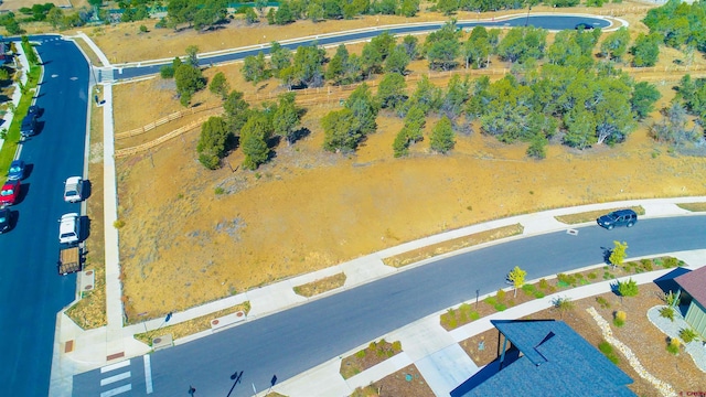 15 Salt Brush St, Durango, CO 81301